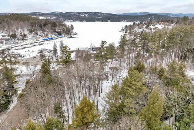 snowy aerial view with a mountain view and a view of trees