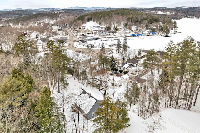 snowy aerial view with a mountain view and a view of trees