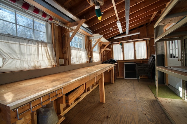 miscellaneous room with vaulted ceiling and a workshop area