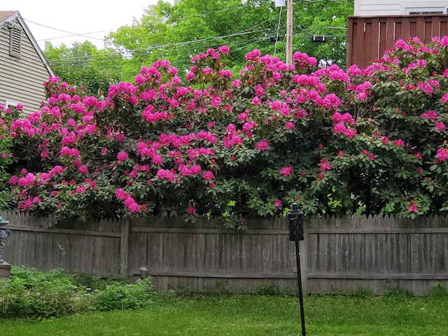 view of yard with fence