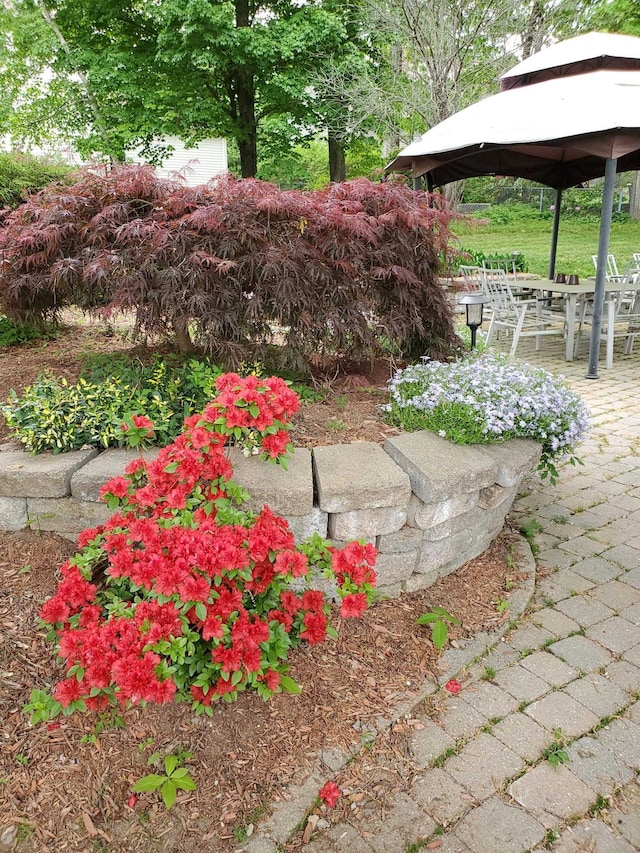 view of yard featuring a gazebo