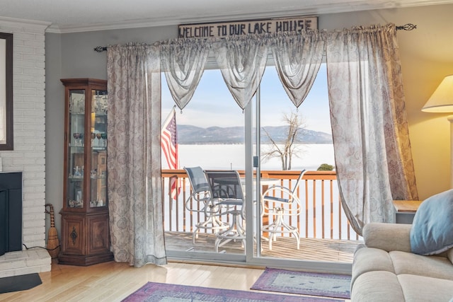 doorway featuring ornamental molding, a fireplace, wood finished floors, and a mountain view