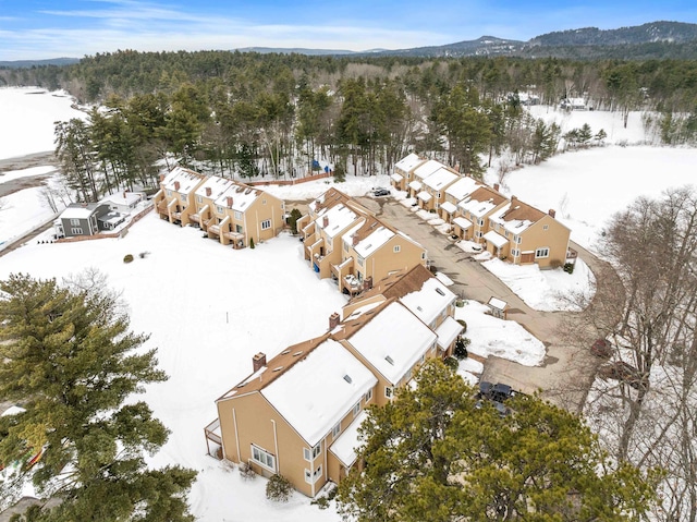 snowy aerial view with a forest view