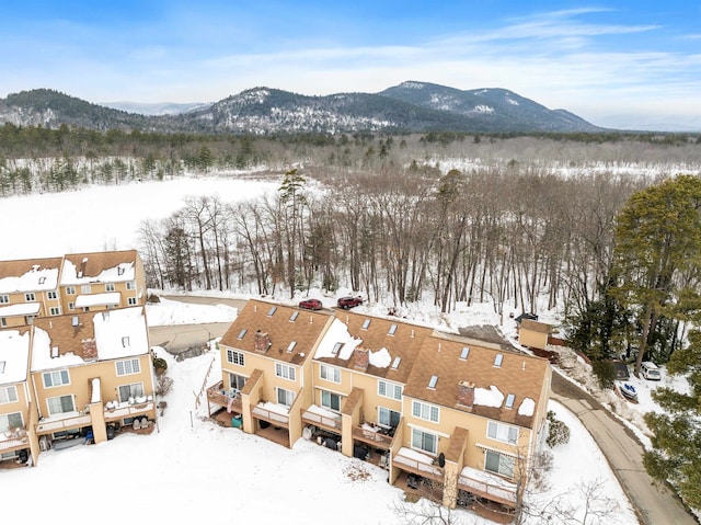 snowy aerial view with a mountain view