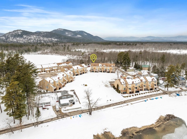 snowy aerial view with a mountain view