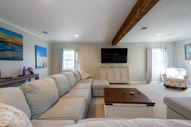 carpeted living room with baseboards, visible vents, beamed ceiling, and ornamental molding