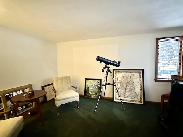 living area with carpet and baseboards