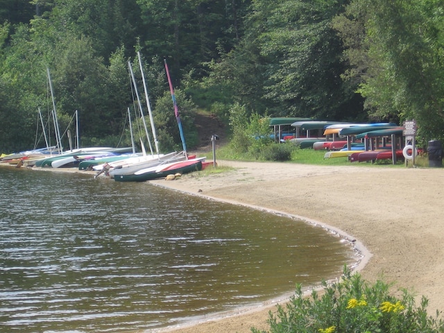 view of community with a boat dock, a water view, and a view of trees