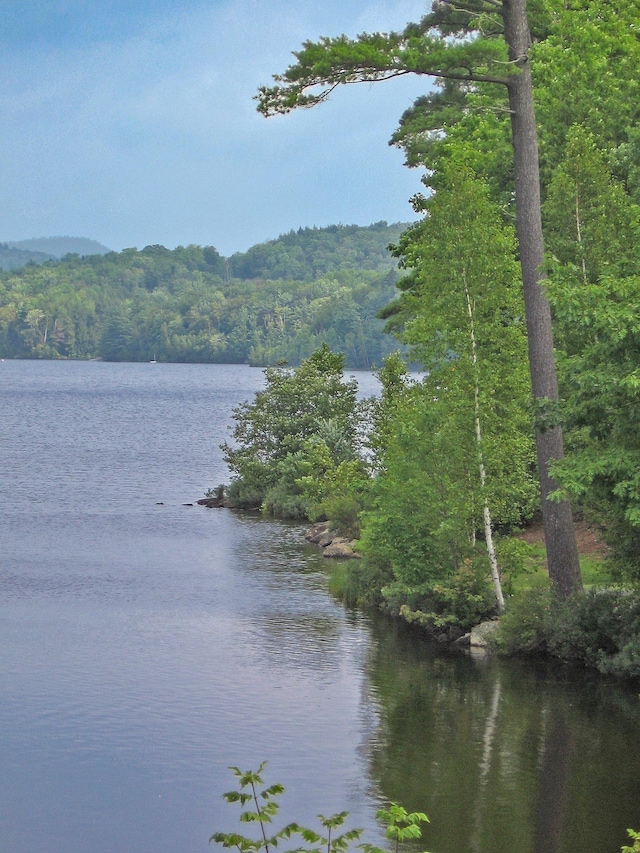 water view with a forest view