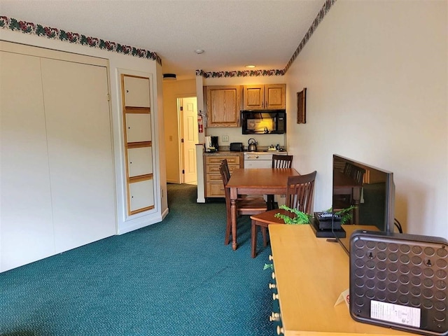 interior space with dark colored carpet