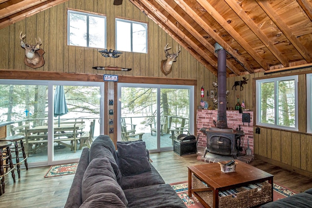 living area featuring a wood stove, plenty of natural light, and wood walls