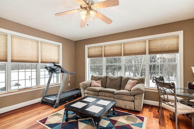 living room with ceiling fan, baseboards, and wood finished floors