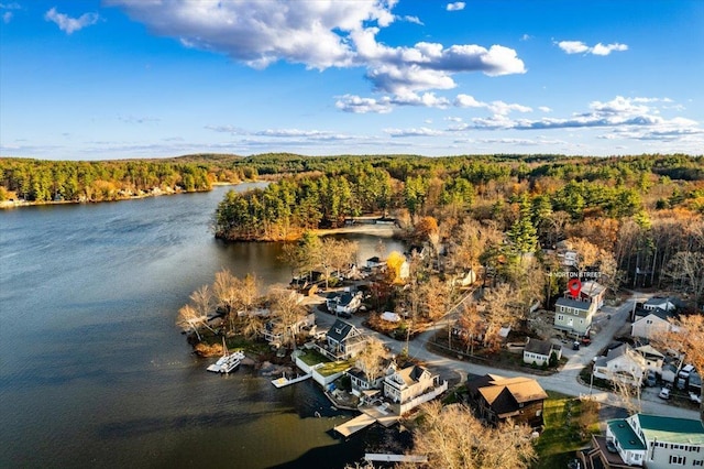 birds eye view of property with a water view and a view of trees