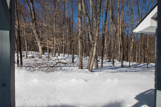 view of yard covered in snow