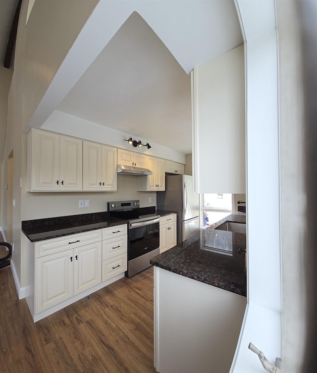 kitchen featuring dark wood-style floors, dark stone countertops, stainless steel appliances, under cabinet range hood, and a sink