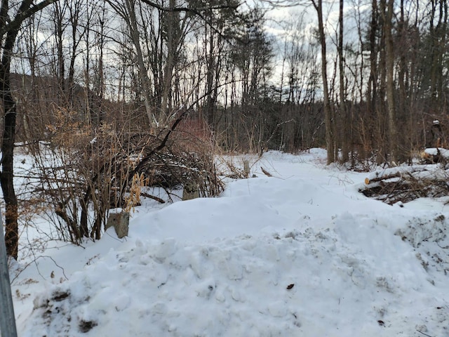 view of yard covered in snow