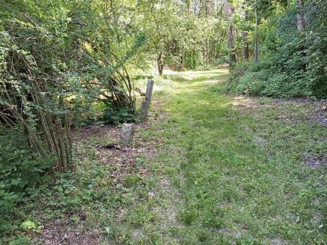 view of yard with a forest view