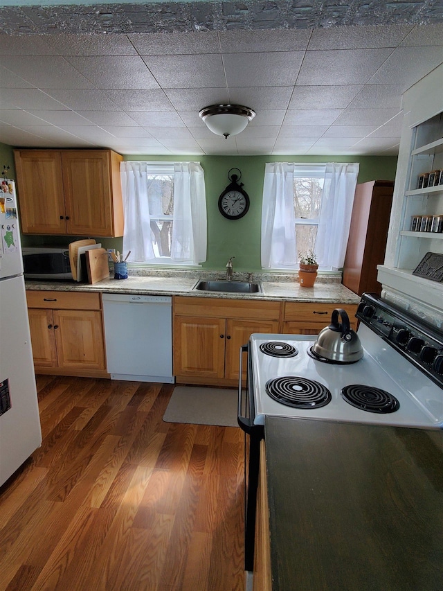 kitchen with white appliances, a wealth of natural light, dark wood-style flooring, and a sink