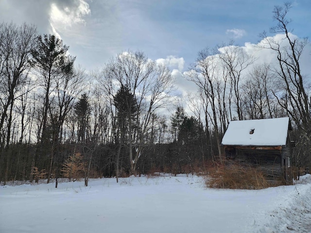 view of yard covered in snow