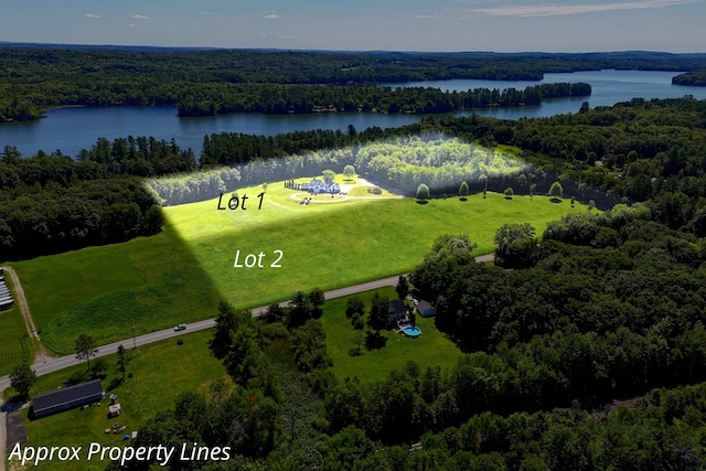 bird's eye view featuring a water view and a forest view