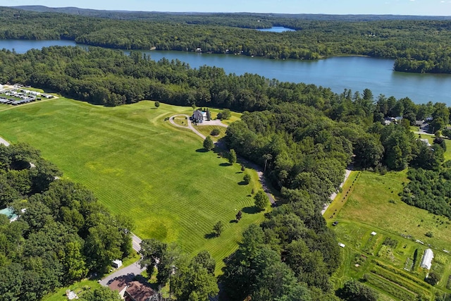 aerial view with a water view and a forest view