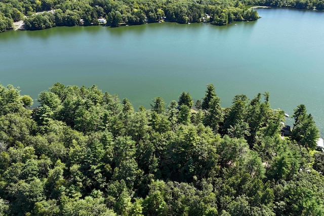 birds eye view of property featuring a water view and a wooded view