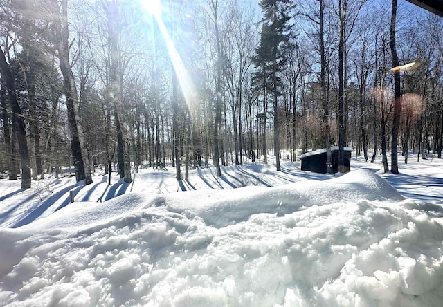 view of yard covered in snow