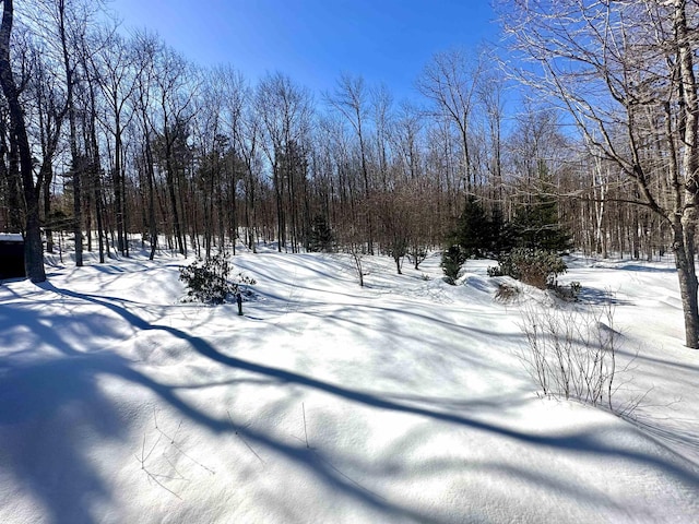 view of yard layered in snow