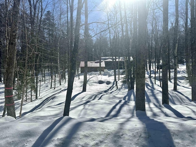 view of yard layered in snow