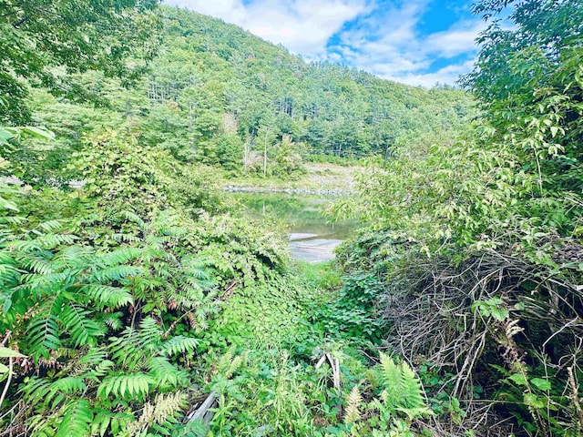 property view of mountains featuring a forest view