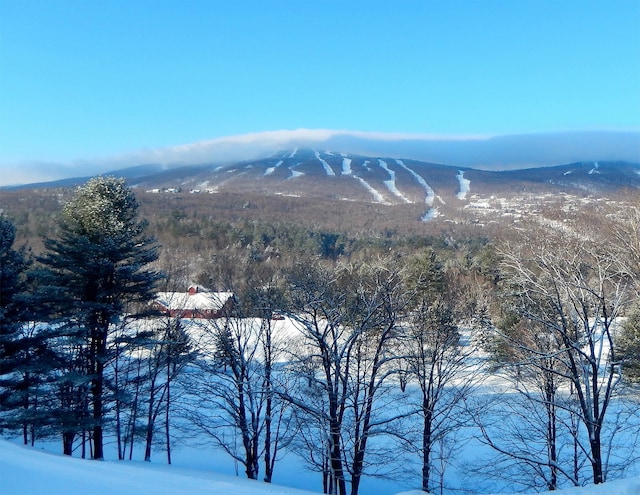 view of mountain feature