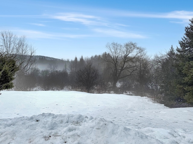 view of yard layered in snow