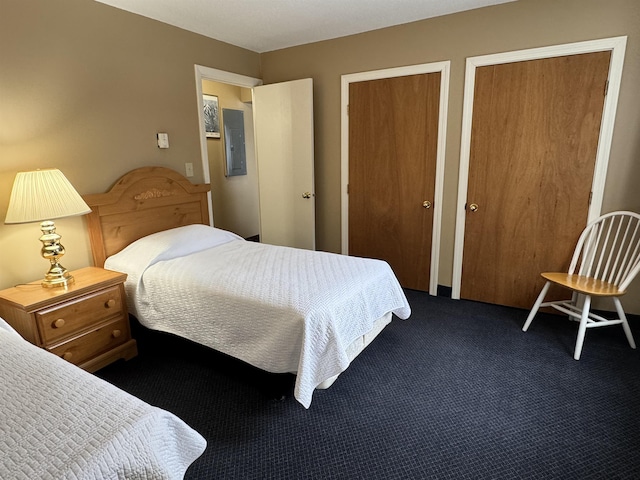 bedroom featuring electric panel, dark carpet, and two closets