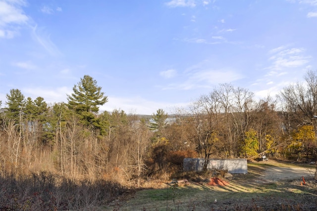 view of local wilderness