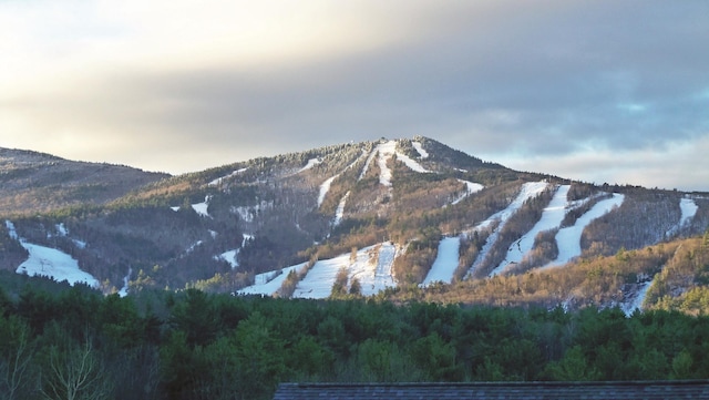 view of mountain feature with a forest view