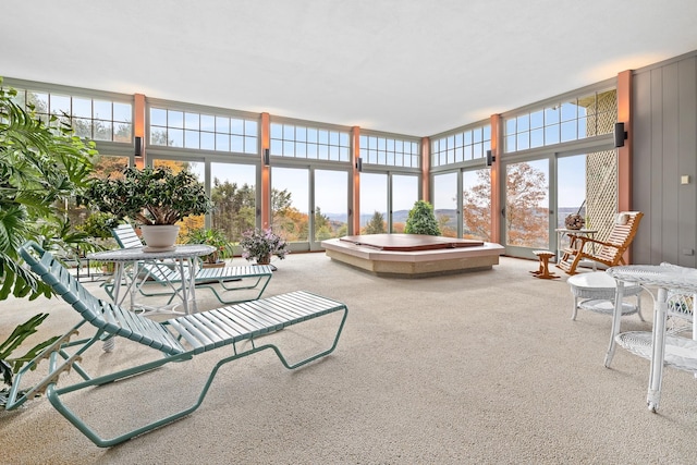 view of carpeted living area