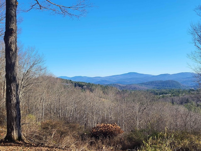 view of mountain feature featuring a wooded view