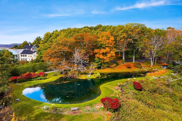 view of property's community with a water view