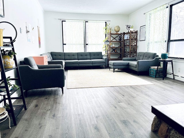 living area with wood finished floors