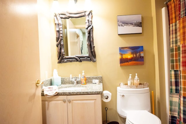 bathroom featuring vanity, toilet, and a shower with curtain