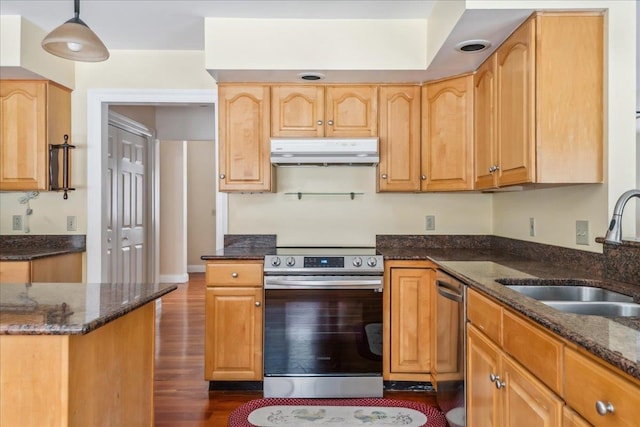 kitchen featuring dark wood finished floors, appliances with stainless steel finishes, dark stone countertops, under cabinet range hood, and a sink