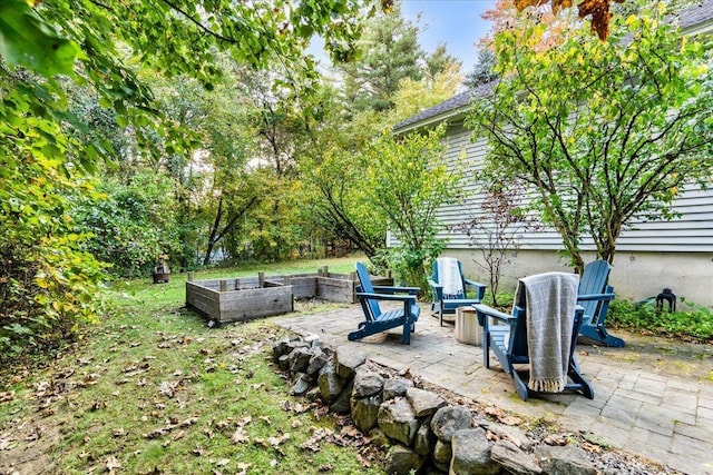 view of yard featuring a patio area and a garden