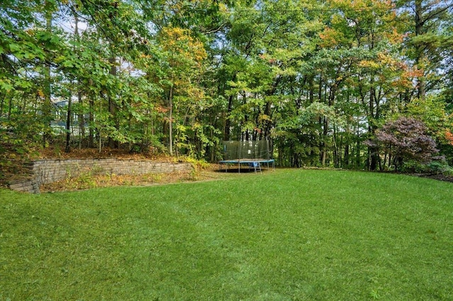 view of yard with a trampoline