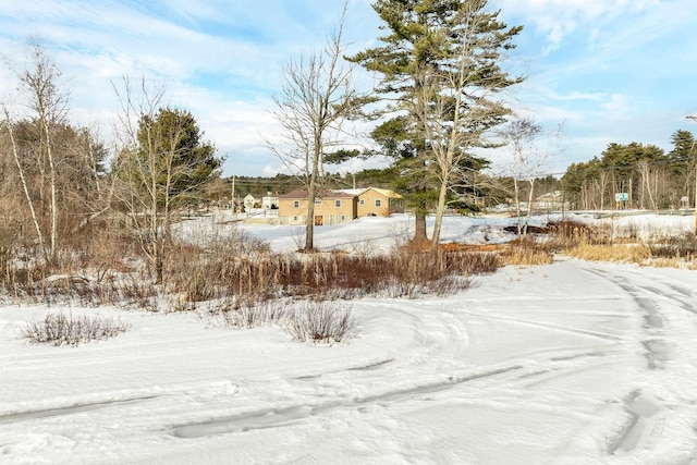 view of yard covered in snow