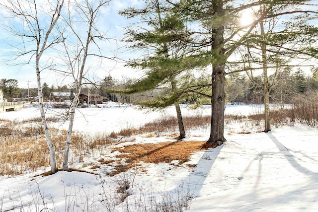 view of yard covered in snow