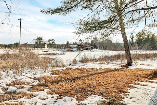 view of yard covered in snow