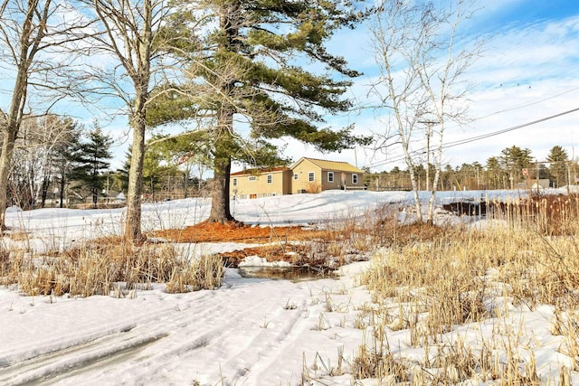 view of yard covered in snow