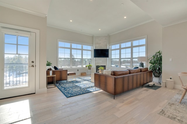 living room featuring a large fireplace, ornamental molding, and light wood-type flooring