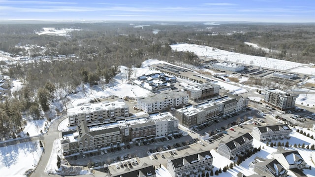 view of snowy aerial view