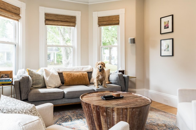 living room with baseboards and wood finished floors